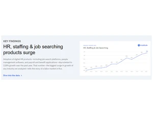 amplitude key findings