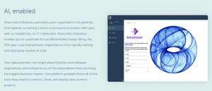 enterprise individual edition
