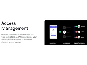 Auth0 Access Management