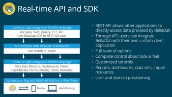 belladati real time api and sdk