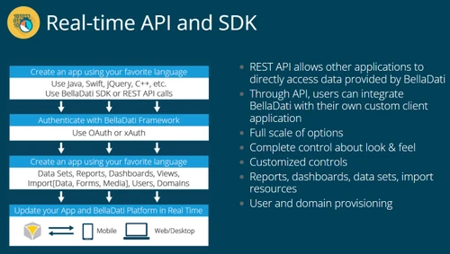 belladati real time api and sdk