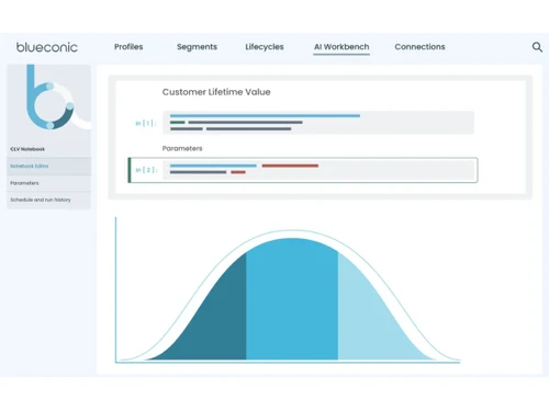 BlueConic-ai workbench