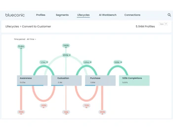 BlueConic-lifecycles