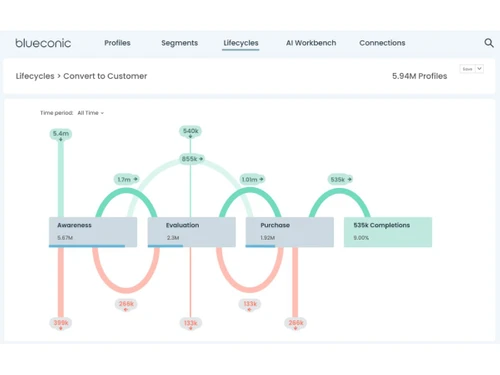 BlueConic-lifecycles