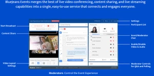 bluejeans network meetings