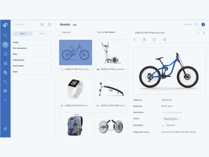 Bluestone-PIM assets