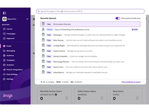 braze software-dashboard