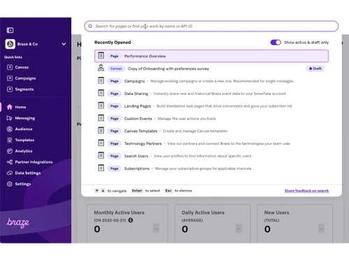 braze software-dashboard