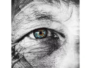 Canon Dreamlabo 5000 image