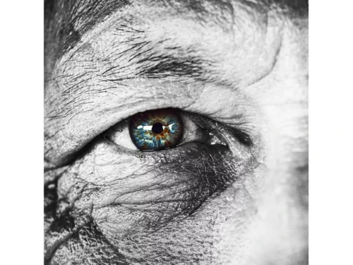 Canon Dreamlabo 5000 image