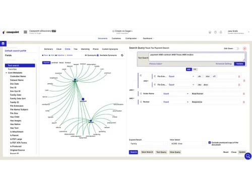 Casepoint-text search
