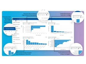 Deltek Costpoint Dashboard