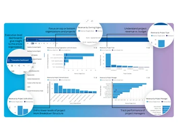 Deltek Costpoint Dashboard