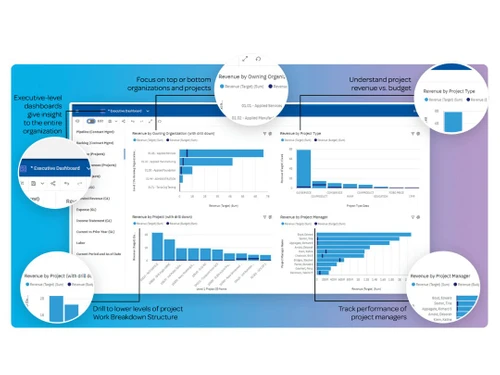 Deltek Costpoint Dashboard