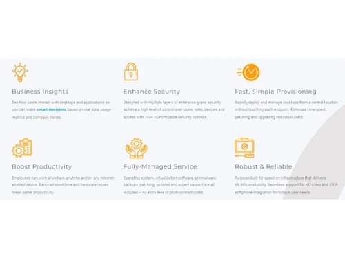 Dizzion Business insights