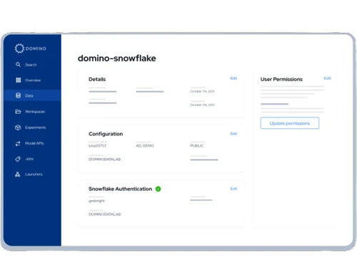 Domino Data Science Platform Details