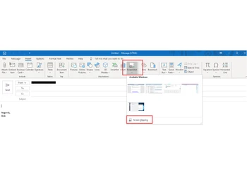 Microsoft Office 365 for Business (MOLP) Screen Clipping