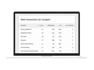 Matomo Web Analytics Keywords