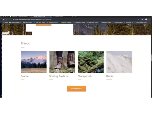 nuxeo platform window