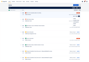 Opsgenie alerts section