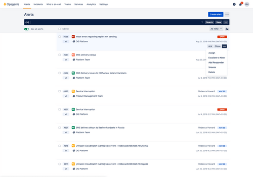 Opsgenie alerts section
