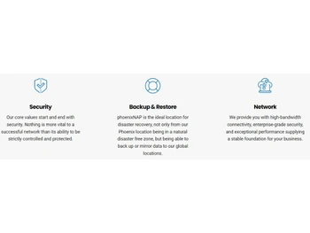 phoenixNAP Security