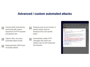 Portswigger Burp Suite custom