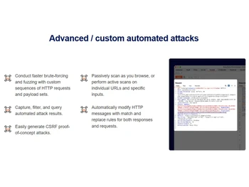 Portswigger Burp Suite custom