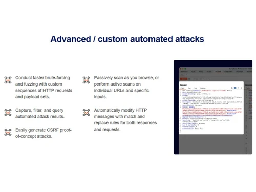 Portswigger Burp Suite custom