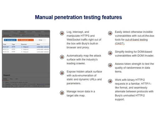 Portswigger Burp Suite penetration