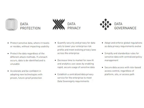 Protegrity Protection