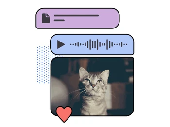 signal messaging app-say