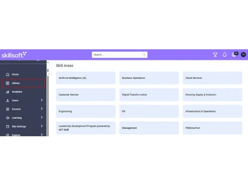 skillsoft Skill Area