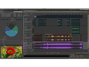 adobe audition for teams editing