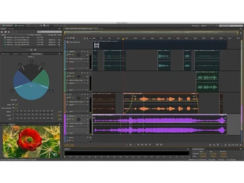 adobe audition for teams editing