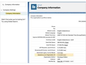 Salesforce Organization