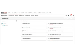 bdrsuite data backup