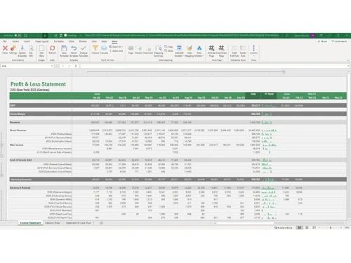 Vena-income statement