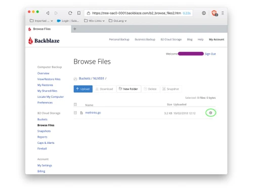 Backblaze files