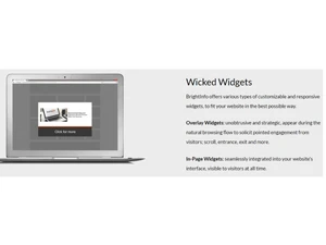 BrightInfo Widgets