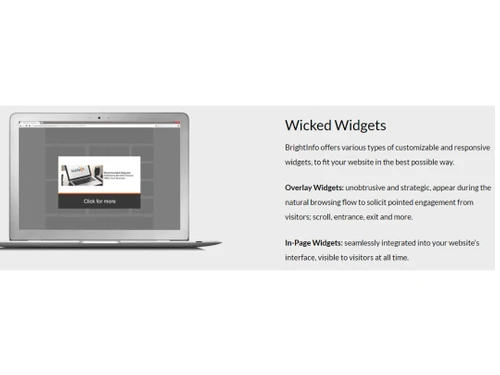 BrightInfo Widgets